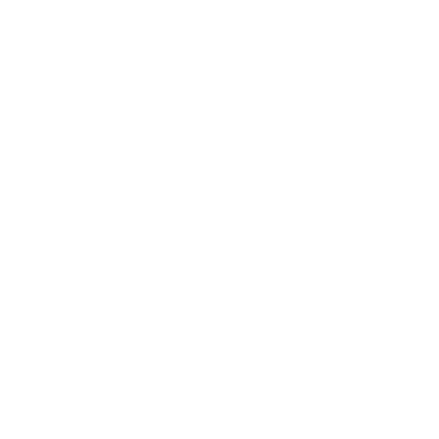 The YMCA White Logo