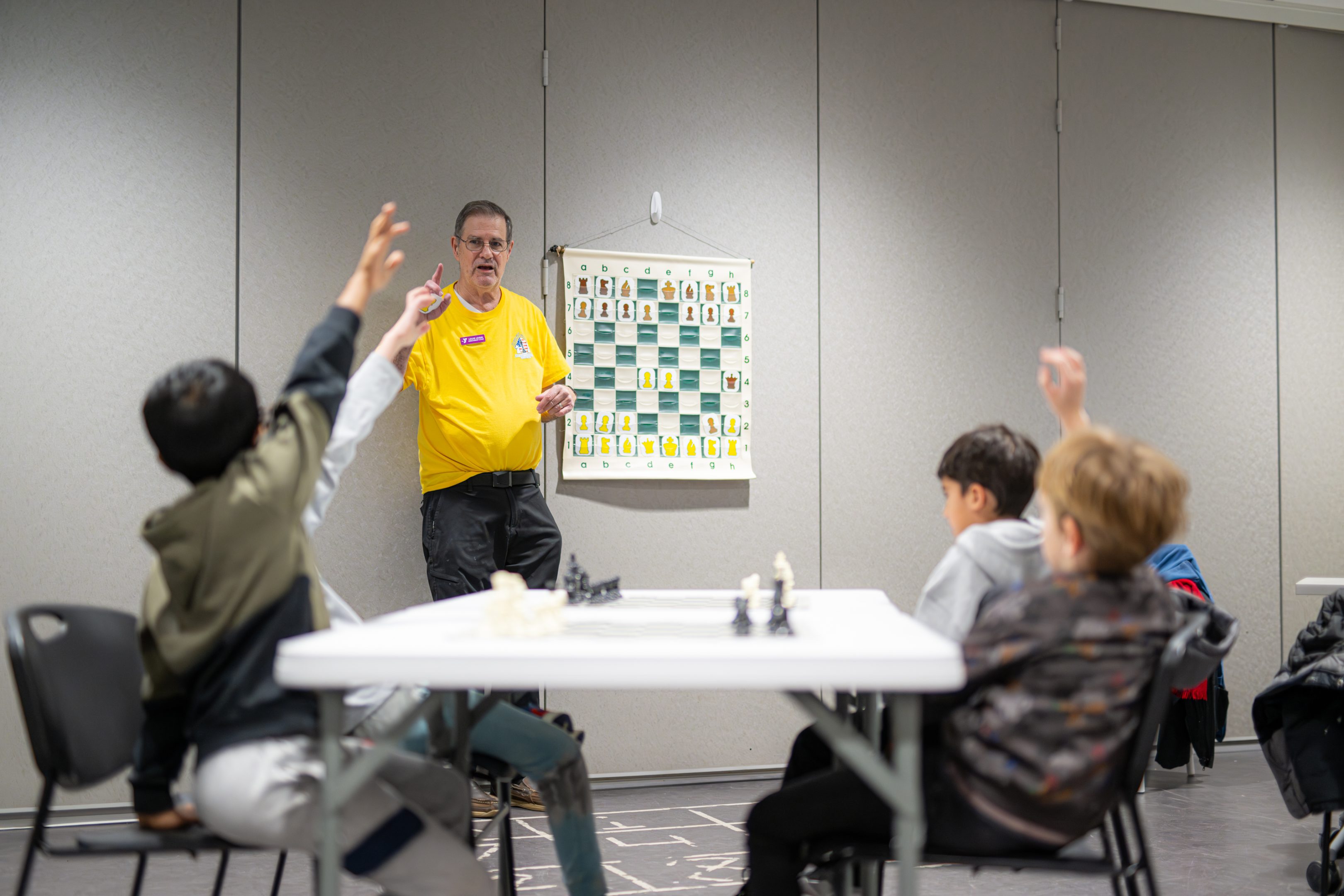 Beginner Chess