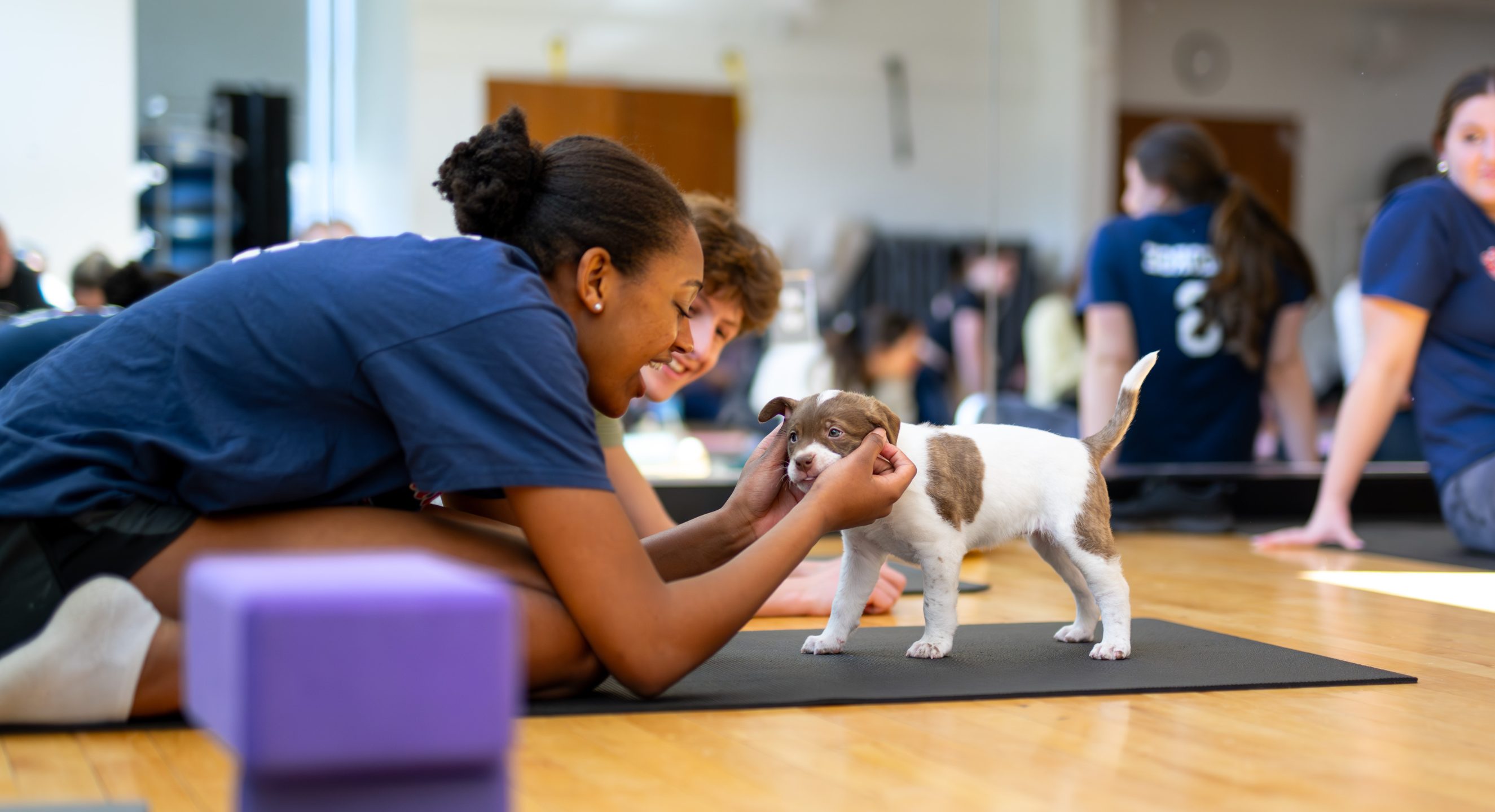 Puppy Yoga
