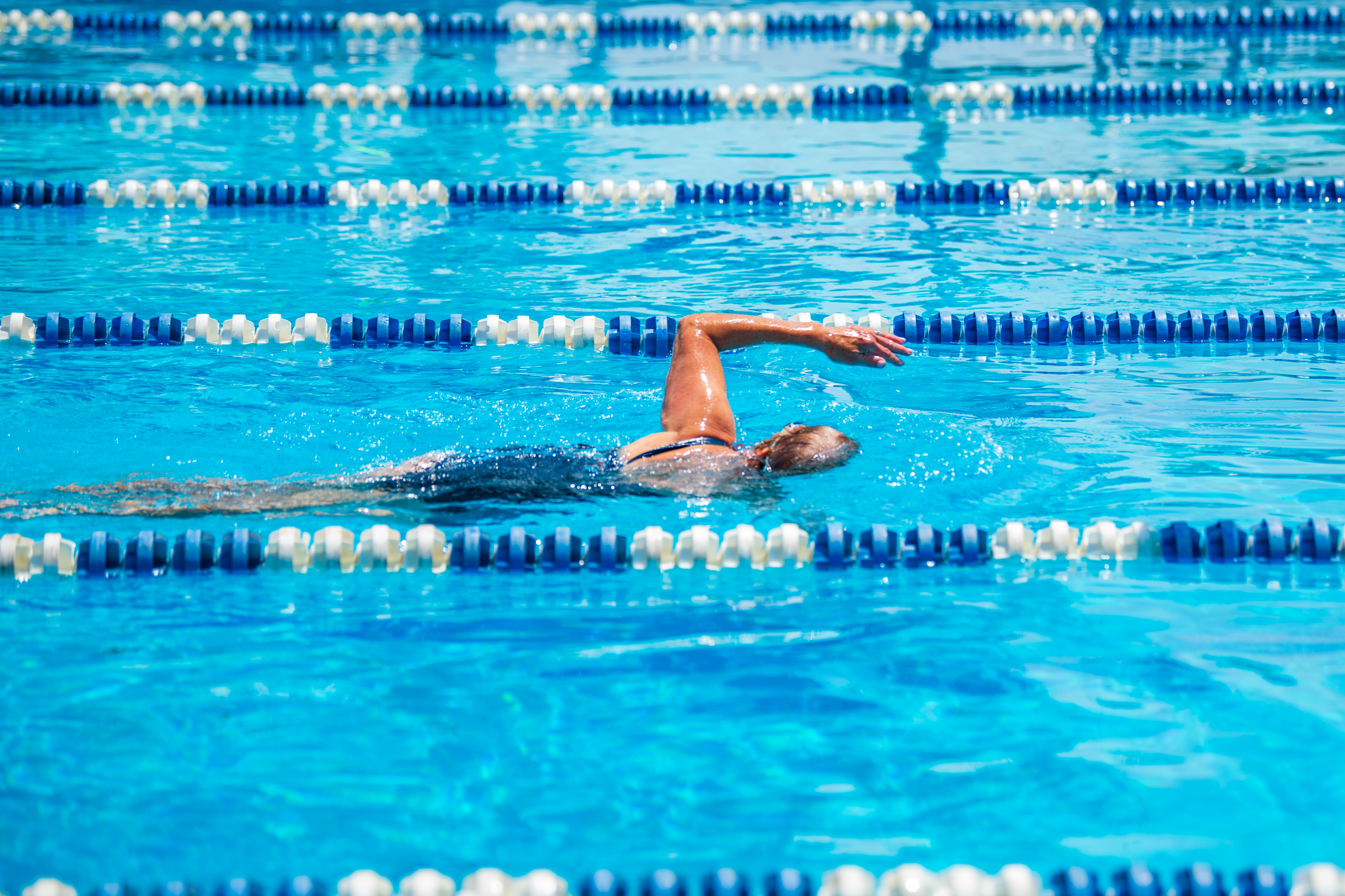 Lap swim at Springfield Community Pool